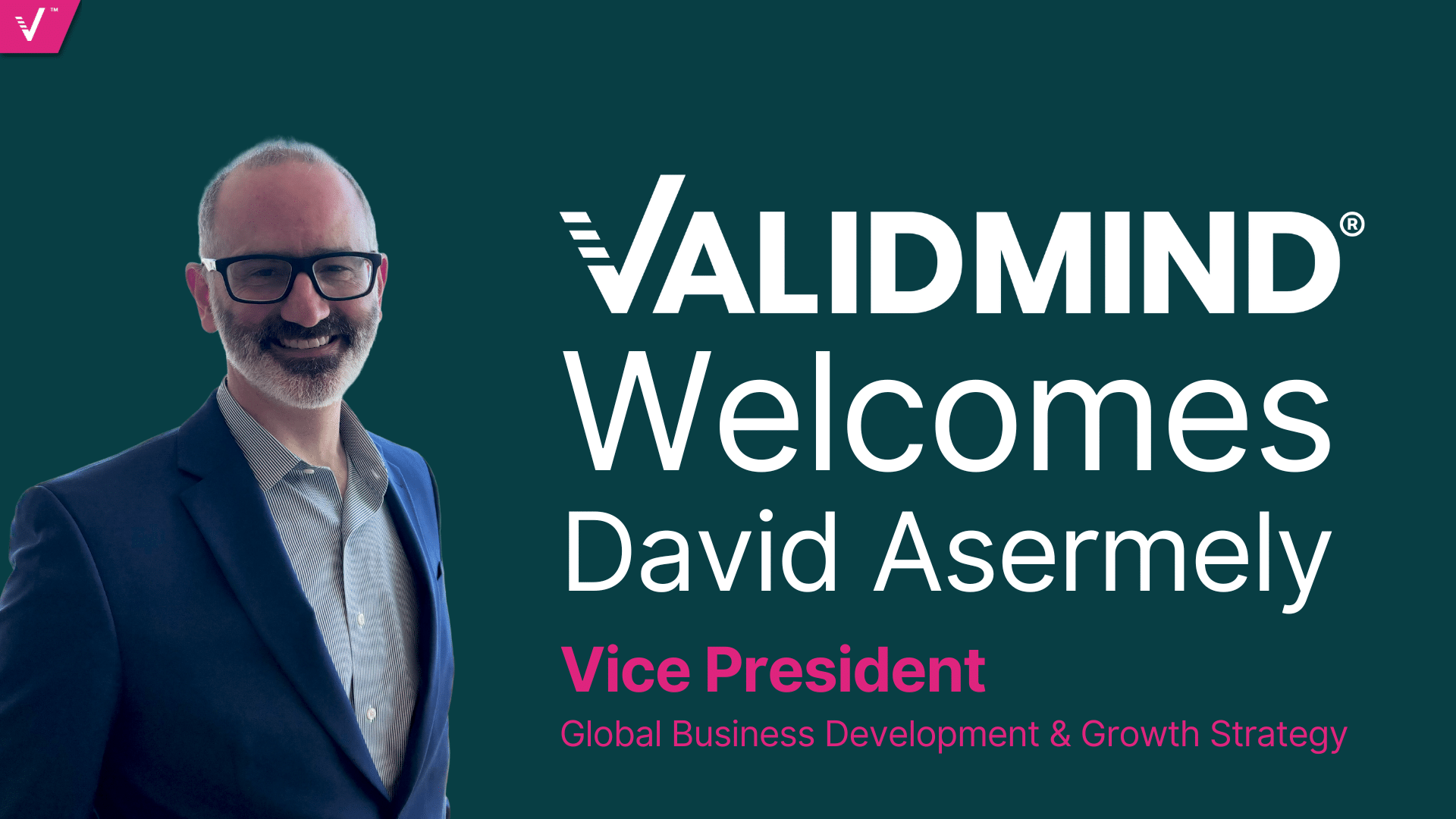 David Asermely Joins ValidMind