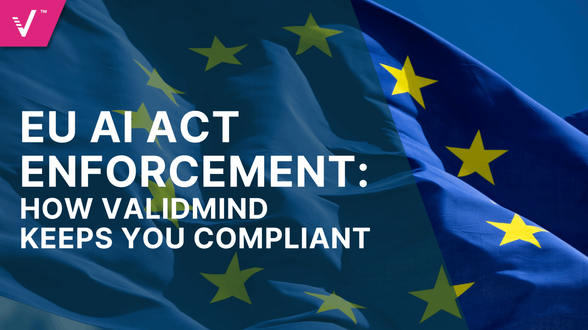 EU AI Act Enforcement and Compliance