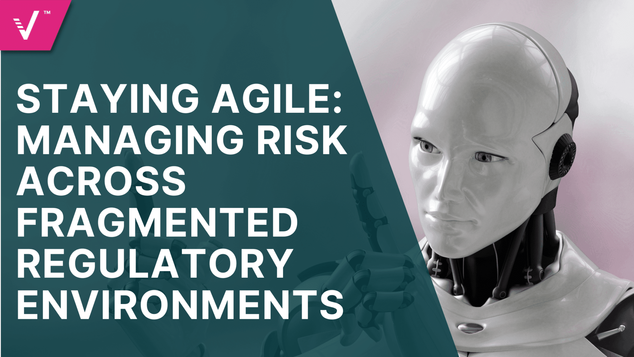 Staying Agile Managing Risk Across Fragmented Regulatory Environments