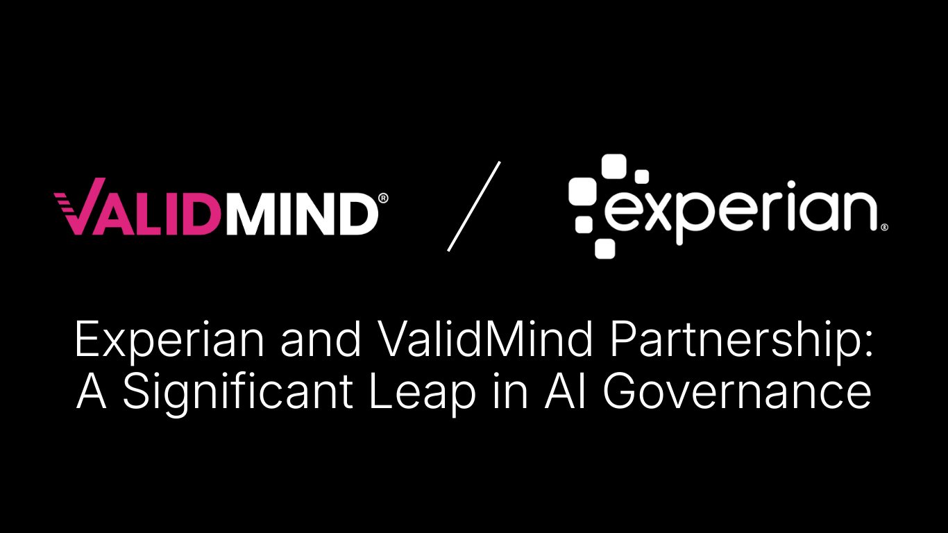 validmind experian ai governance