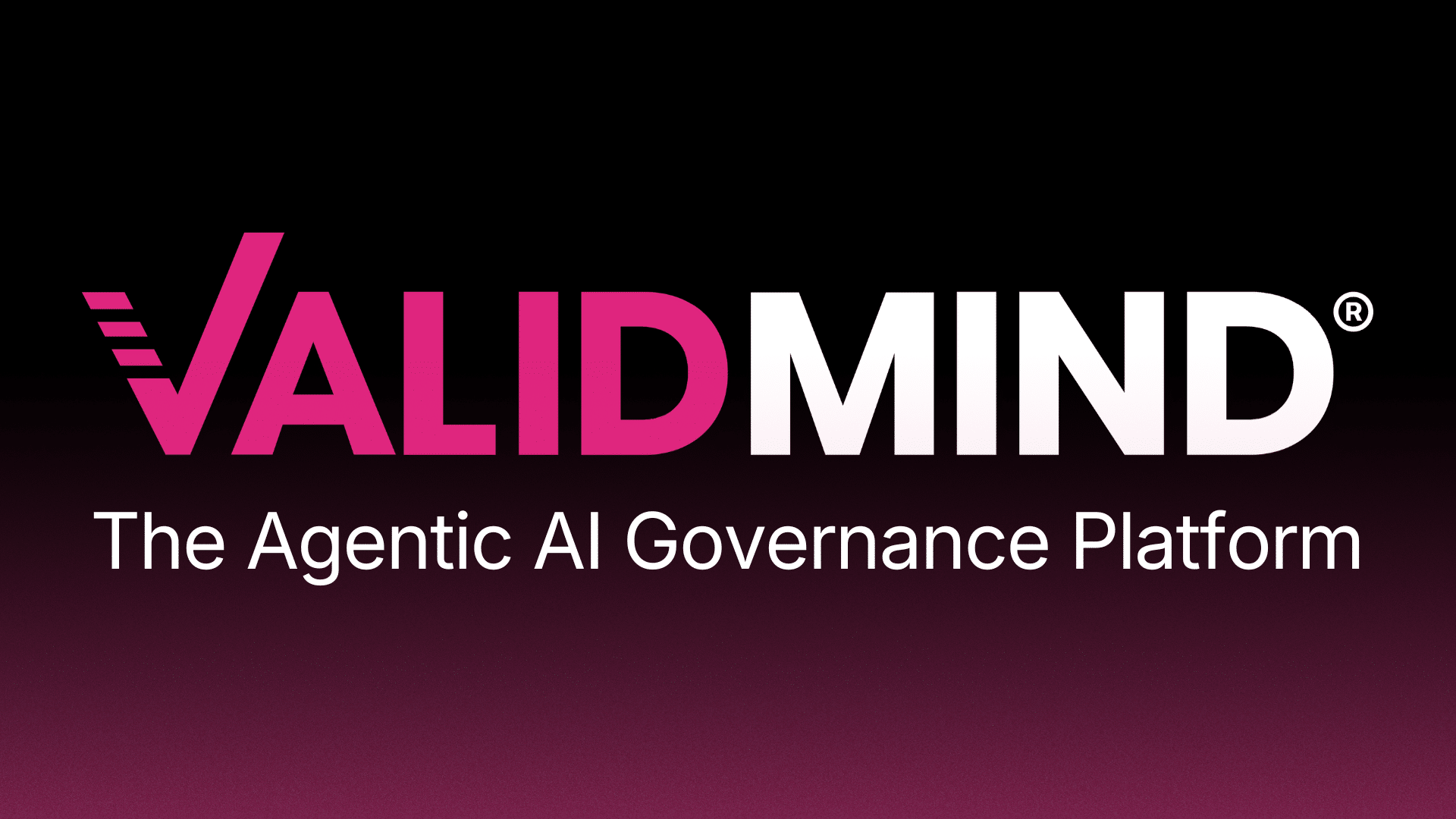 ValidMind website preview