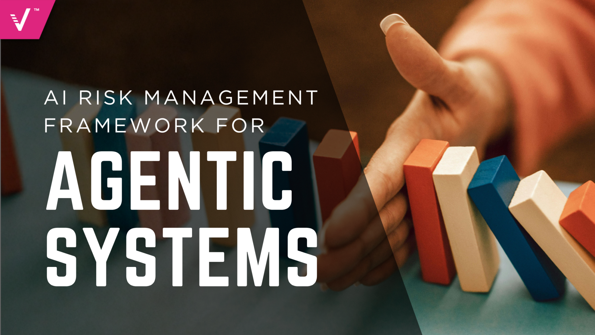 AI Risk Management Framework for Agentic Systems: New Risks, New Controls